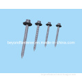 Self Tapping Screw/Self-Tapping Screw/Sharp Point Screw/Screws/Timber Screw